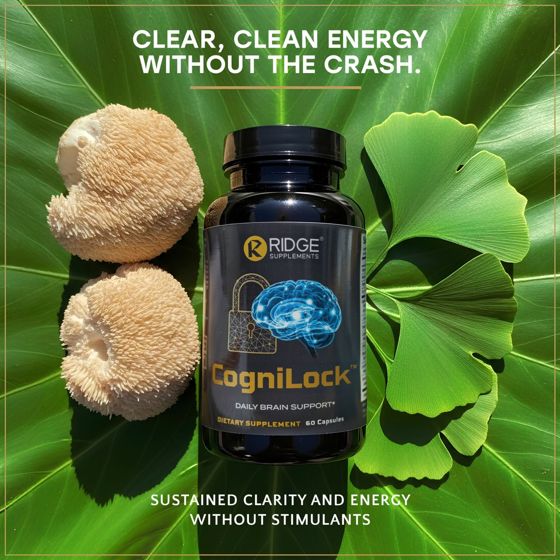 Static ad for CogniLock (supplements, nootropics and eye support)